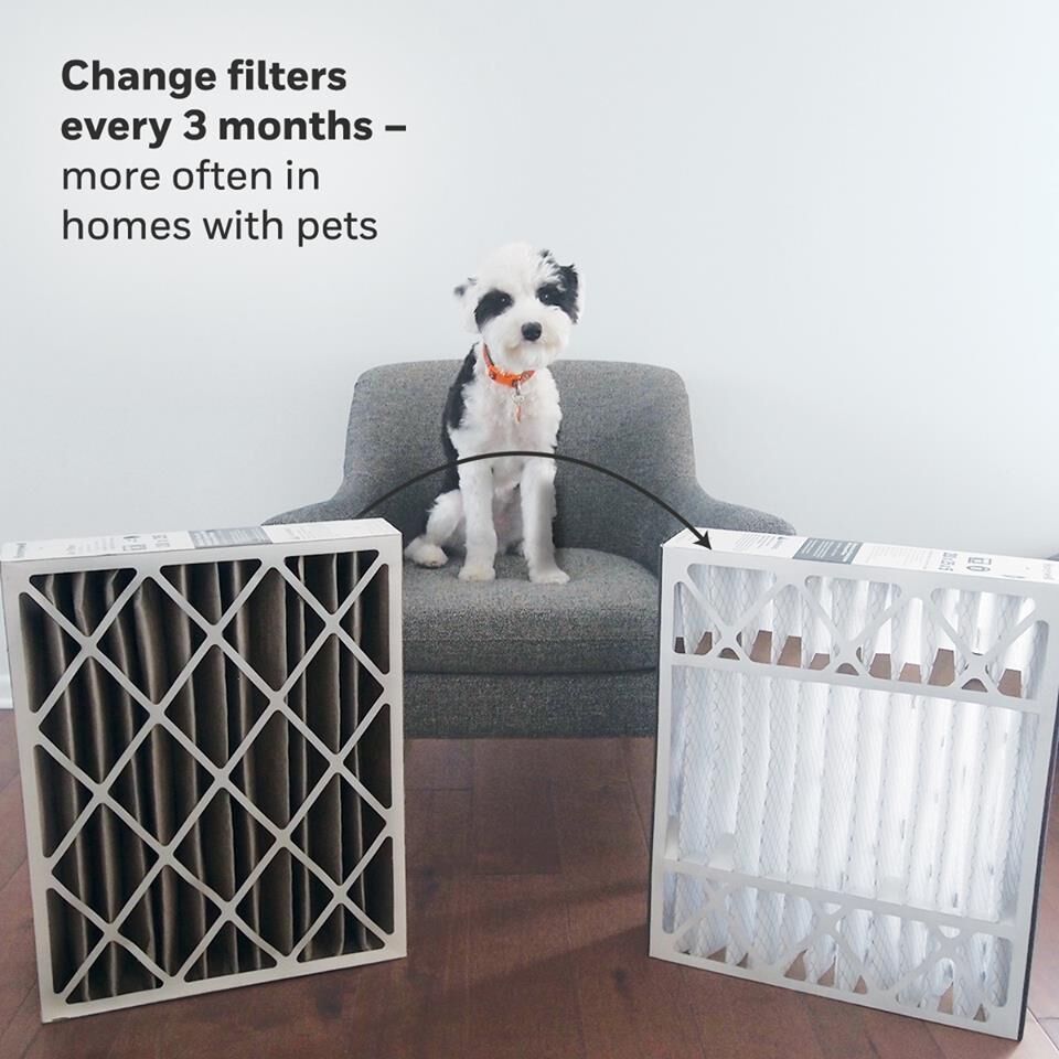 IS YOUR FURNACE FILTER CLEAN?